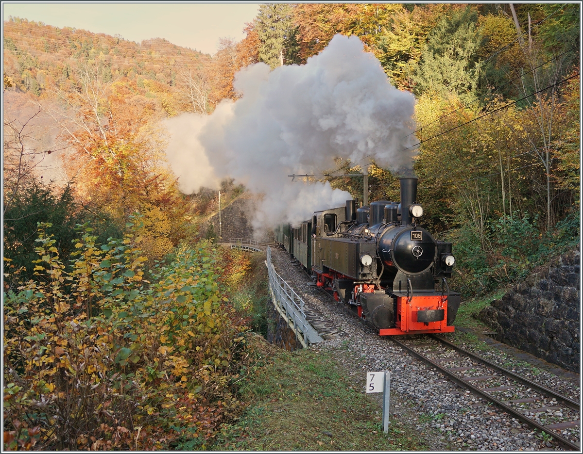 Das Baye de Clarens Viadukt ist sicherlich der Höhepunkt feiner Fahrt mit der Museumsbahn Blonay-Chamby, aber mir gefällt der darauf folgende Abschnitt in der Baye de Clarens Schlucht auch sehr gut. In der beträchtliche Steigung zeigen die Dampfloks auf eine eindrückliche Art, was in ihnen steckt: die G 2x 2/2 105 ist kurz nach Vers chez Robert mit ihrem Dampfzug auf der Fahrt nach Chamby.

31. Oktober 2021