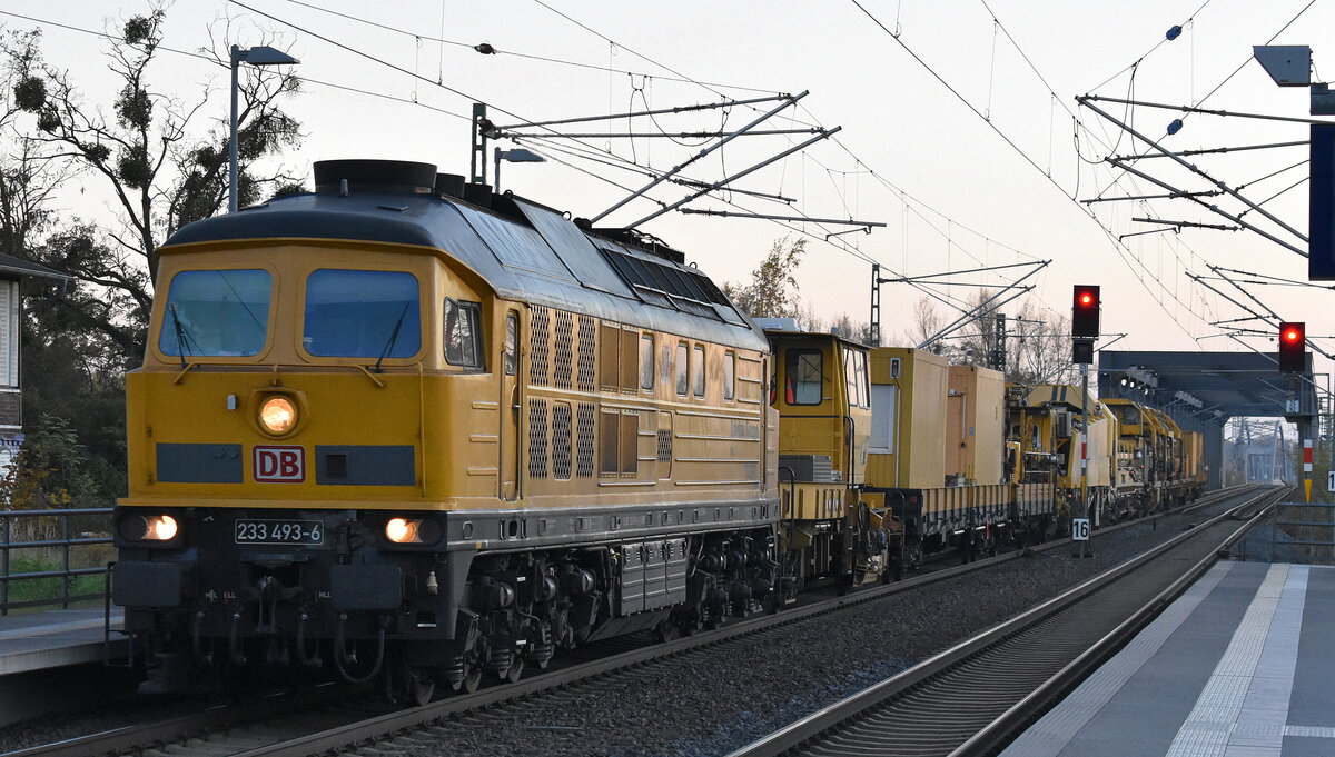 DB Bahnbau Gruppe GmbH, Königsborn mit ihrer Ludmilla  233 493-3 , Name:  Tiger   (NVR:  92 80 1233 493-6 D-DBBBG ) und firmeneigenen Schienengleisumbauzug am 06.11.25 Durchfahrt Bahnhof Roßlau (Elbe).