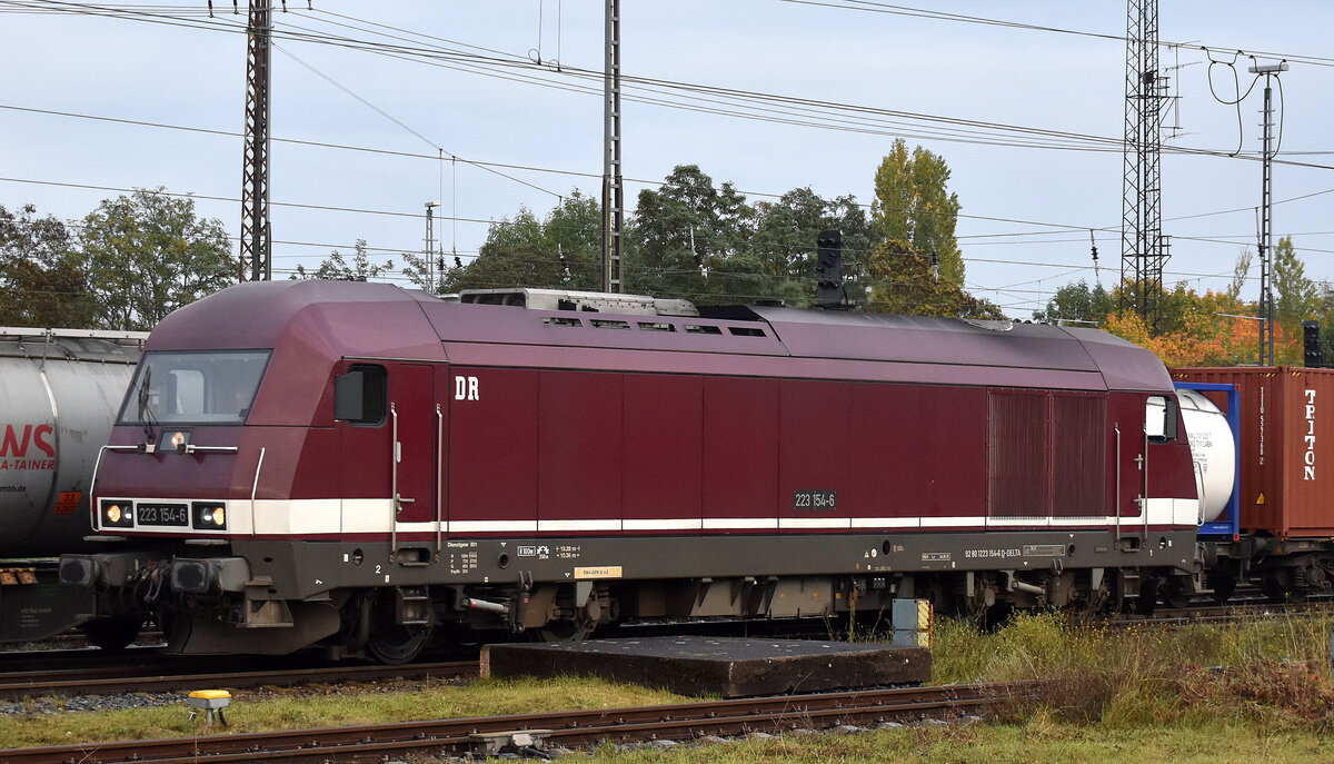 DeltaRail GmbH, Frankfurt (Oder) mit ihrer  223 154-6  (NVR:  92 80 1223 154-6 D-DELTA ) hat einen Containerzug für RTB Cargo zur Abholung bereitgestellt am 15.10.25 Höhe Bahnhof Frankfurt/Oder.