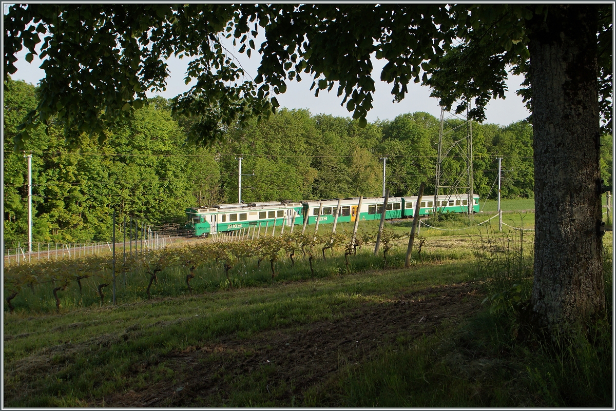 Der BAM Regionalzug 108 auf der Fahrt nach Bi�re zwischen Chigny und Vufflens-le-Ch�teau.
12.Mai 2015