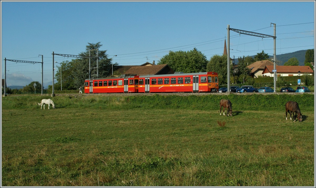 Der Nyon St-Cergue - Morez (NStCM) Regionalzug 215 beim Halt in Tr�lex.
28. August 2013