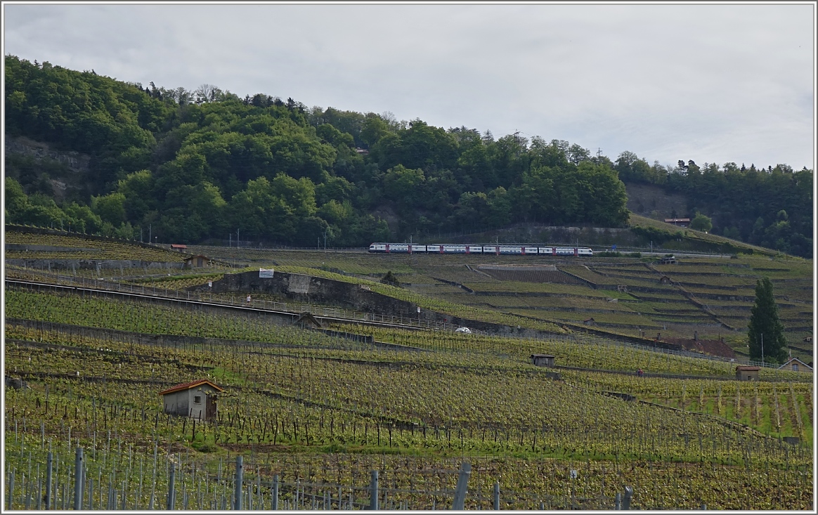 Der Regionlexpress 2618 erreicht bald Lausanne.
(08.05.2014)
