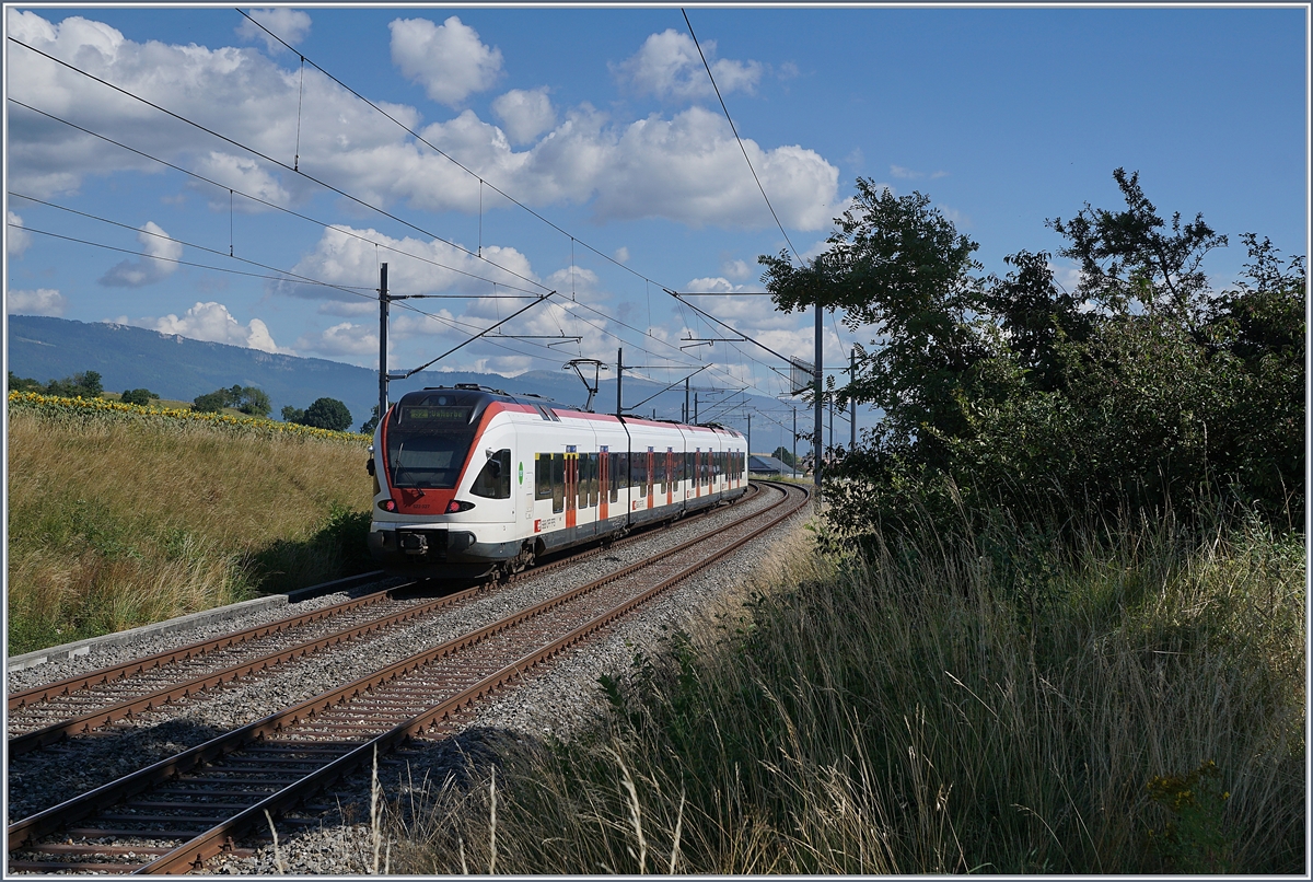 Der SBB RABe 523 027 auf der Fahrt nach Vallorbe kurz vor Arnex, in der schönen, leicht hügligen Jurafusslandschaf.  
 
25. Juli 2020