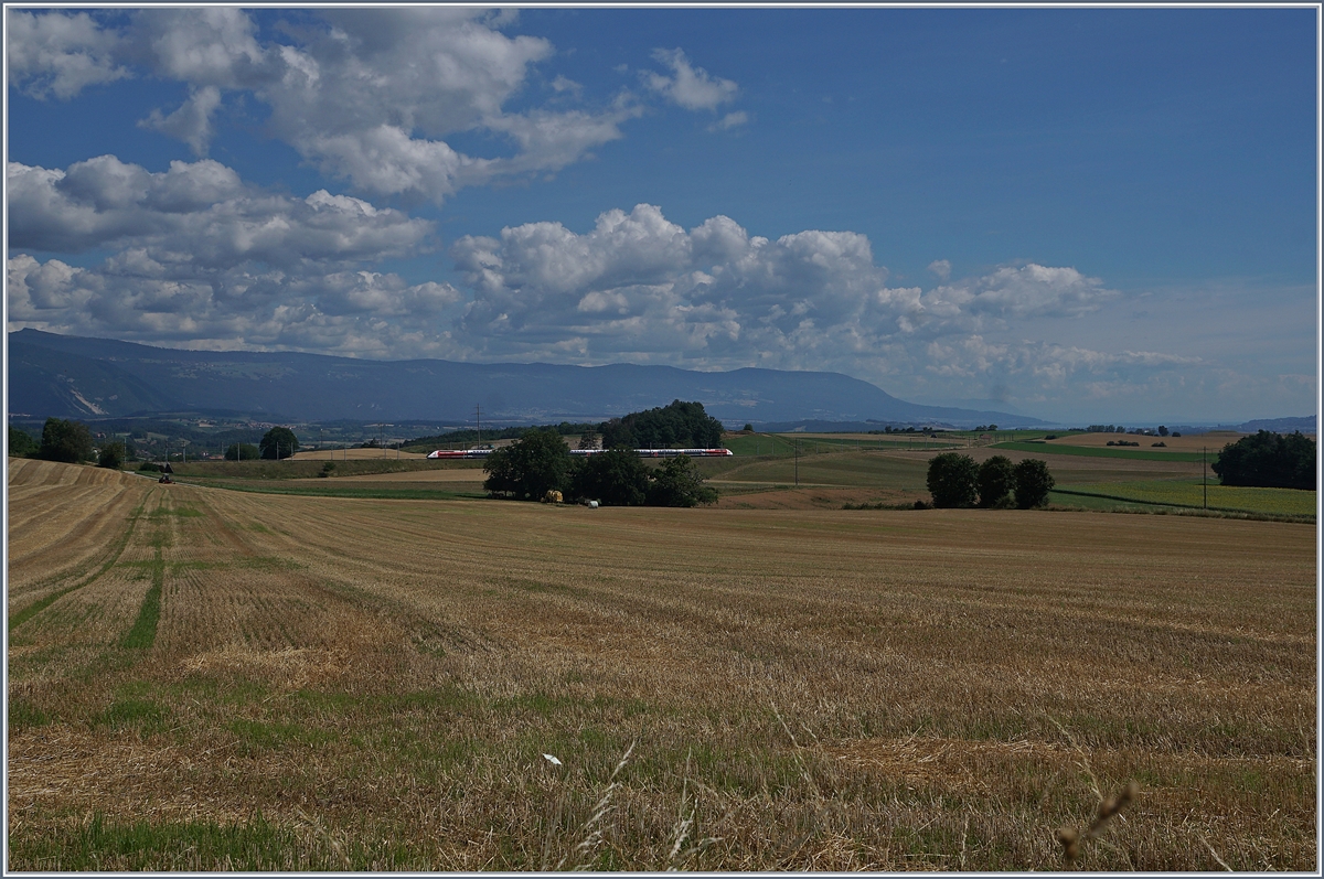 Der TGV Lyria 9261 von Paris Gare de Lyon nach Lausanne oberhalb von Arnex auf der Fahrt durch die hügligen Jurasüdfuss Landschaft. 

25. Juli 2020