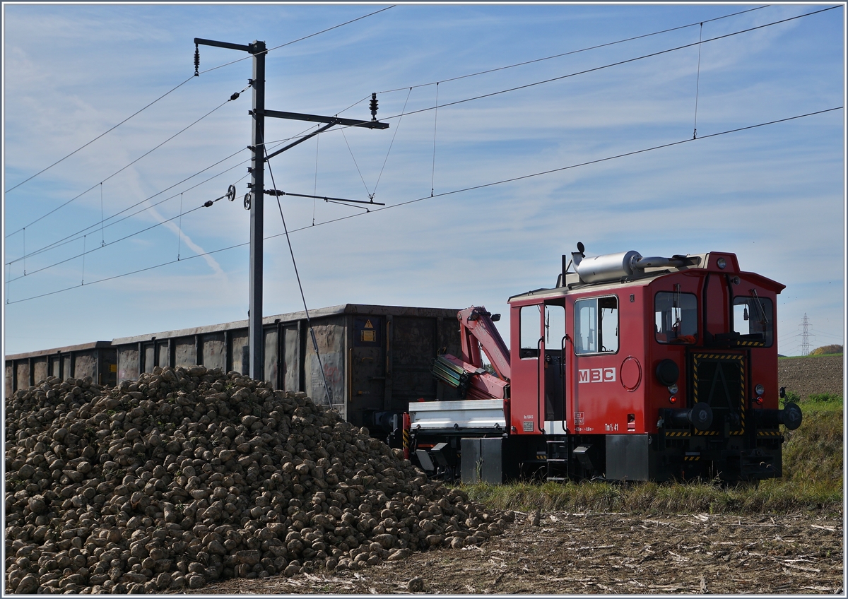 Der Tm 2/2 41 der BAM MBC und die Eaos werden von den zu verlanden Zuckerr�ben etwas verdeckt; ein Stimmungsbild der letzten Zuckerr�ben-Verladung bei der BAM.
17. Okt. 2017