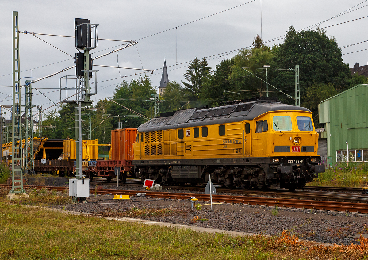 Die 233 493-6  „TIGER“ (92 80 1233 493-6 D-DB) bzw. Lok 13 der DB Bahnbau Gruppe, ex DB 232 493-7, ex DR 132 493-8, fährt am 20.08.2021, mit einem Bauzug (bestehend auch einigen Materialförder- und Silowagen  MSF-100 der MGW Gleis- und Weichenbau) , durch Betzdorf/Sieg in Richtung Köln.

Die remotorisierte  Ludmilla bzw. V 300 wurde 1977 von LTS (Luhanskyj Teplowosobudiwnyj Sawod auch bekannt als Lokomotivfabrik „Oktoberrevolution“  Lugansk (ehemals Woroschilowgrad)) unter der Fabriknummer 0728 gebaut und als 132 493-8 an die Deutsche Reichsbahn (DR) geliefert. Zum 01.01.1992 erfolgte die Umzeichnung in DR 232 493-7 und zum 01.01.1994 dann in DB 232 493-7. Im Jahre 2003 erfolgte dann der  Umbau und Remotorisierung im Ausbesserungswerk Cottbus mit einem neuen Zwölfzylinder-Viertakt-Dieselmotor vom Typ 12D49M, daraufhin erfolgte zum die Umzeichnung in DB 233 493-6. Im Jahr 2014 ging sie von der DB Schenker an die DB Bahnbau Gruppe.

Die Umbau-Baureihe 233:
Im Jahre 2002 begann man mit dem Stabilisierungsprogramm der BR 232, zur Erhöhung der Zuverlässigkeit, Verfügbarkeit und Wirtschaftlichkeit, sowie der Reduzierung der Emissionswerte, der Umbau bestand im Wesentlichen aus:
Die Lok der BR 232 erhielt nun einen direkteinspritzenden V-12-Zylinder-Viertakt-Dieselmotor des russischen Typs Kolomna 12D49M  einer Nennleistung von 2.206 kW und einer maximal eingestellten Traktionsleistung von 1.900 kW ausgerüstet worden. Da der Umbau für den russischen Motor am geringsten war, entschied man sich für den Einbau dieses Motors. Während der Originalmotor ein 16-V-Zylinder-Dieselmotor (Kolomna 5D49) war, ist der neue Motor nur noch ein 12-Zylinder-V- Dieselmotor. Der der neue Motor hat einen Hubraum von 165,6 l gegenüber 220,9 l des alten Motors, die fast gleiche Leistung wird u.a. durch einen höheren Ladedruck erreicht. Dieser wurde von 1,3 bar auf nun 2,1 bar erhöht. Aber auch der Einspritzdruck (Beginndruck 380 bar gegenüber 320 bar) und der max. Verbrennungsdruck (140 bar gegenüber 115 bar) sind entsprechend höher.
Wie auch beim alten Motor können einzelne Zylindergruppen zur Dieseleinsparung bei Nichtbedarf abgeschaltet werden. Insgesamt wurden 65 Lokomotiven mit dem neuen Motor Typ Kolomna 12D49M ausgestattet und zur Unterscheidung als Baureihe 233 bezeichnet, dabei wurden die alten Ordnungsnummern beibehalten. 

Systemänderungen gegenüber dem 5D49 bestehen vor allem im Zweikreiskühlsystem, der Ausstattung mit zwei Ölwärmetauschern und der Notabstellung mittels Notstopp bzw. Luftabsperrklappe.
Die veränderte Lage des Abgasturboladers des 12D49M gegenüber dem 5D49 im Lokkasten erforderte außerdem den Einbau eines gekürzten Schalldämpfers. Weiterhin wurde die Verbrennungsluftanlage auf eine mit vier Papierfiltereinsätzen bestückte einseitige Luftansauganlage umgerüstet. 

TECHNISCHE DATEN der BR 233:
Spurweite: 	1.435 mm (Normalspur)
Achsformel: Co’Co’
Länge über Puffer: 20.820 mm
Achsabstand im Drehgestell:  2 x 1.850 mm (3.700 mm)
Dienstgewicht: 122t
Radsatzfahrmasse:  20,4 t 
Anfahrzugkraft: 294 kN
Dauerzugkraft: 194 kN
Höchstgeschwindigkeit: 120 km/h
Treibraddurchmesser: 	1050 mm
Motorart: direkteinspritzender V-12-Zylinder-Viertakt-Dieselmotor mit Abgasturbolader und Ladeluftkühlung, 4 Ventile pro Zylinder
Motorentyp: Kolomna 12D49M
Motorleistung: 2.206kW (2.999 PS) bei 1.000 U/min
Motorhubraum: 165,6 l
Ladeluftdruck: 2,1 bar
Einspritzbeginndruck: 380 bar
Max. Verbrennungsdruck: 140 bar
Motorgewicht (trocken): 17.750 kg
Leistungsübertragung: elektrisch
Traktionsgeneratortyp: GS-501A
Traktionsgeneratorleistung: 	2.190kW
Traktionsleistung: 1.830 kW (6 x 305 kW)
Anzahl der Fahrmotoren: 6 (á 305 kW)
Fahrmotortyp: ED 118 A
Tankinhalt: max. 6000 l
