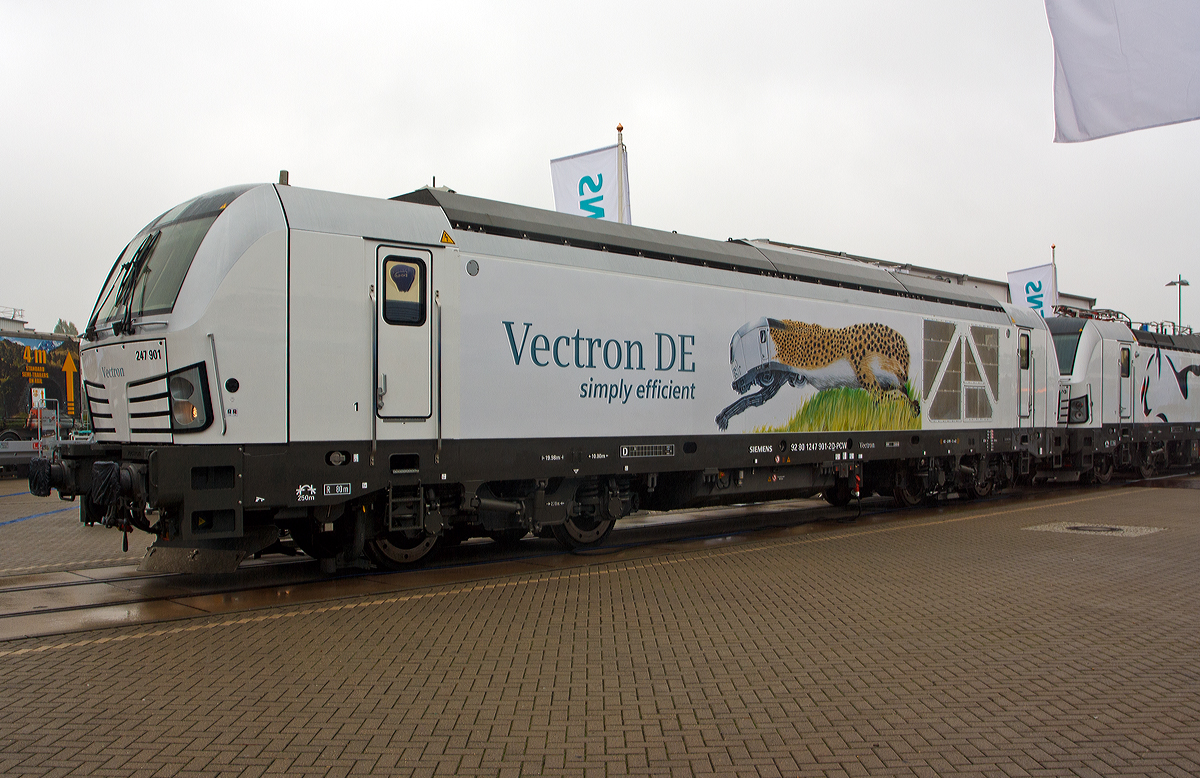 
Die 247 901-2 (92 80 1247 901-2 D-PCW) der Siemens Mobility (eingestellt vom Prüfcenter Wegberg-Wildenrath) der Siemens Vectron DE Prototyp, wurde am Freigelände auf der Inno Trans 2014 in Berlin ausgestellt (hier 26.09.2014). Die Lok hat z.Z. die Zulassungen für Deutschland und Österreich.

Mit dem Vectron hat Siemens ein neues Lokprodukt für Europa entwickelt, das mit verschiedenen Leistungsklassen sowohl im Güterzug- als auch im Reisezugverkehr eingesetzt werden kann. Das Konzept beinhaltet elektrische Varianten für bis zu vier verschiedene Spannungssysteme und eine, wie hier gezeigte, dieselelektrische Variante, den Vectron DE. 

Das Fahrzeugkonzept der Diesellok basiert auf der bewährten Siemens Eurorunner Lokomotive. Herzstück des Vectron DE ist ein MTU Motor der Baureihe 4000, der die europäischen Emissionsvorschriften der Stufe EU IIIB für Bahnantriebe erfüllt.

Der Vectron DE wie hier mit dem Cargo-Packet hat eine Leistung von 2.400 kW (andere Varianten sind mit 2.000 oder 2.200 kW möglich). Die DE ist mit 19.980 mm Länge über Puffer einen Meter länger als die E-Lok-Varianten der Vectron.

Herzstück des Vectron DE ist ein Dieselmotor der neuesten Generation der MTU-Erfolgsbaureihe 4000. Es ist ein V-16-Zylinder- Dieselmotor mit zweistufiger Turboaufladung. Ein verbessertes Common-Rail-Einspritzsystem mit einem maximalen Einspritzdruck von 2.200 bar sorgt zudem für geringe Rohemissionen von Partikeln und ermöglicht so einen kompakten Partikelfilter. Der Motor unterschreitet die seit dem Jahr 2012 geltenden europäischen Emissionsvorschriften der Stufe EU IIIB für Bahnantriebe deutlich.
TECHNISCHE DATEN:
Spurweite: 1.435 mm (bis 1.668 mm möglich)
Achsfolge:  Bo´Bo´
Länge über Puffer: 19.980 mm
Drehzapfenabstand: 10.800 mm
Achsabstand im Drehgestell: 2.700 mm
Eigengewicht: ca. 83 t
Max. Achslast : 22 t
Dieselmotorleistung: 2.400 kW
Anfahrzugkraft: 275 kN
Höchstgeschwindigkeit : 160 km/h