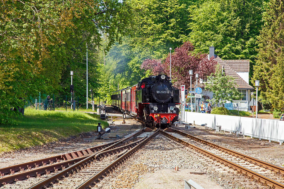 Die 99 2323-6 der MBB - Mecklenburgischen B�derbahn Molli, ex DB/DR 099 903-7, ex DR 99 323, erreicht mit dem MBB Dampfzug von K�hlungsborn-West nach Bad Doberan (auch gef�hrt als RB 31 „B�derbahn Molli“), am 15.05.2022 den Bahnhof Heiligendamm.