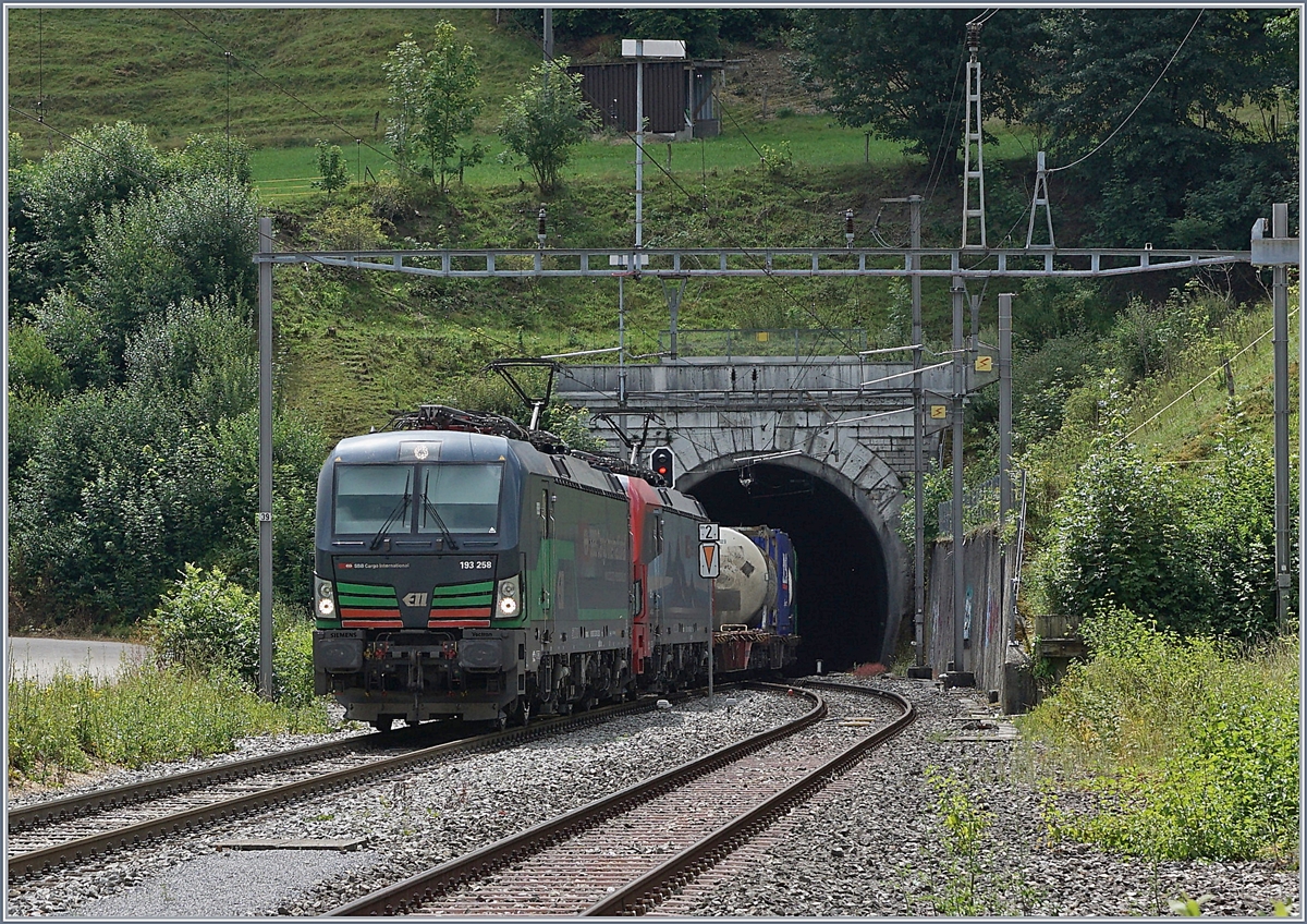 Die beiden 193 258 und 461 verlassen mit einem SBB Cargo International Güterzug auf dem Weg Richtung Basel bei Läufelfingen den 2495 Meter langen Hauensteintunnel.

11. Juli 2018

