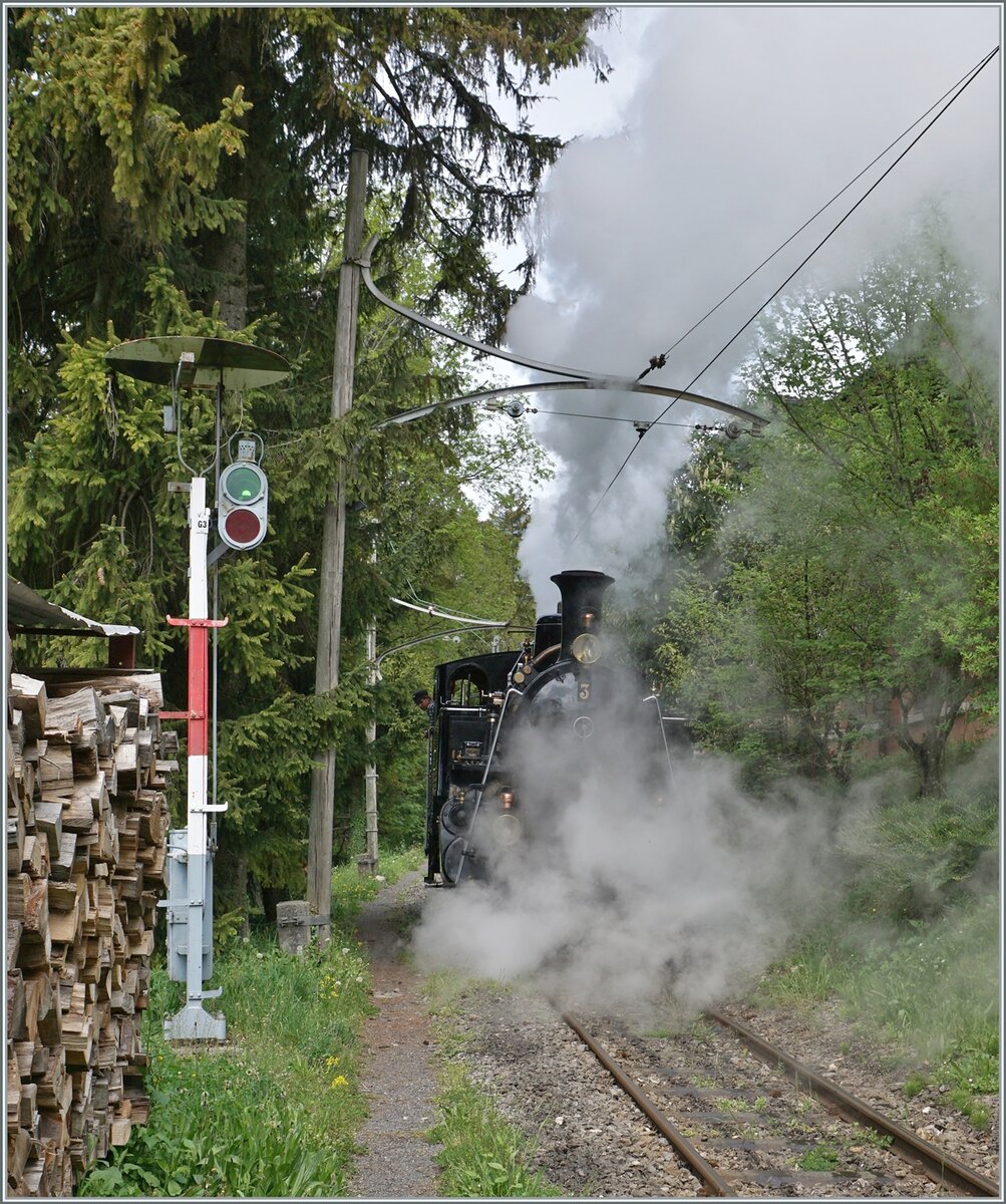 Die BFD HG 3/4 n° 3 auf der kurzen Fahrt vom  BW Chaulin  zum Museumsbahnhof.

6. Mai 2023