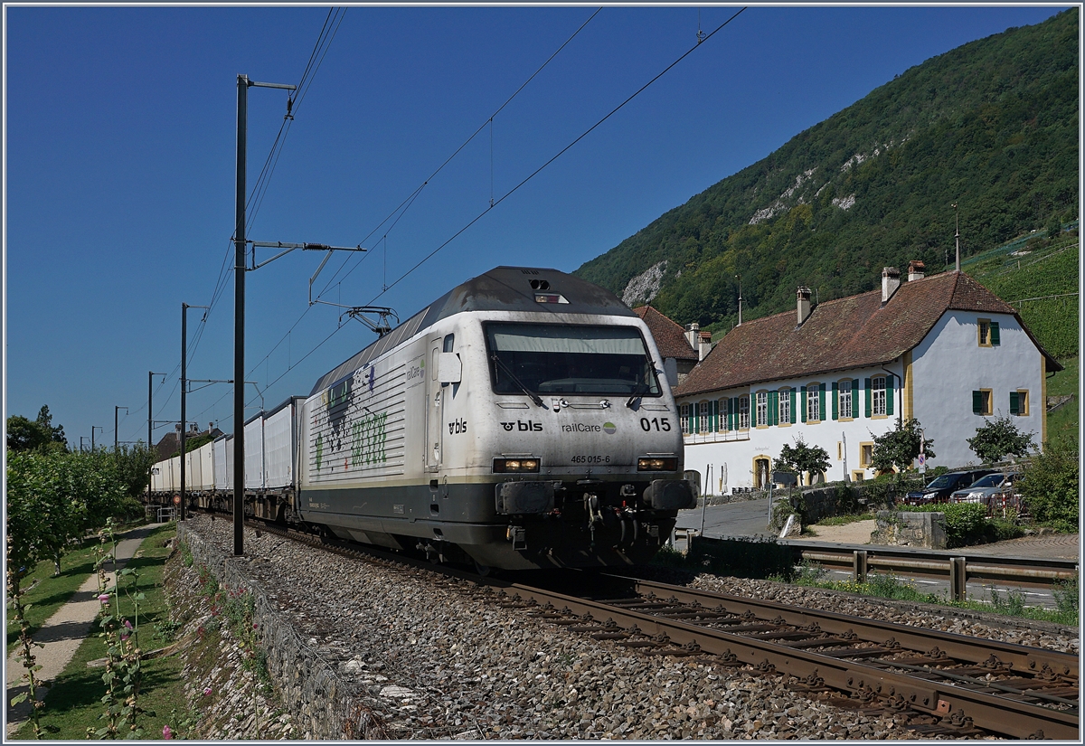 Die BLS Re 465 015-6 mit einem railcare Güterzug kurz nach Ligerz.
18. August 2017