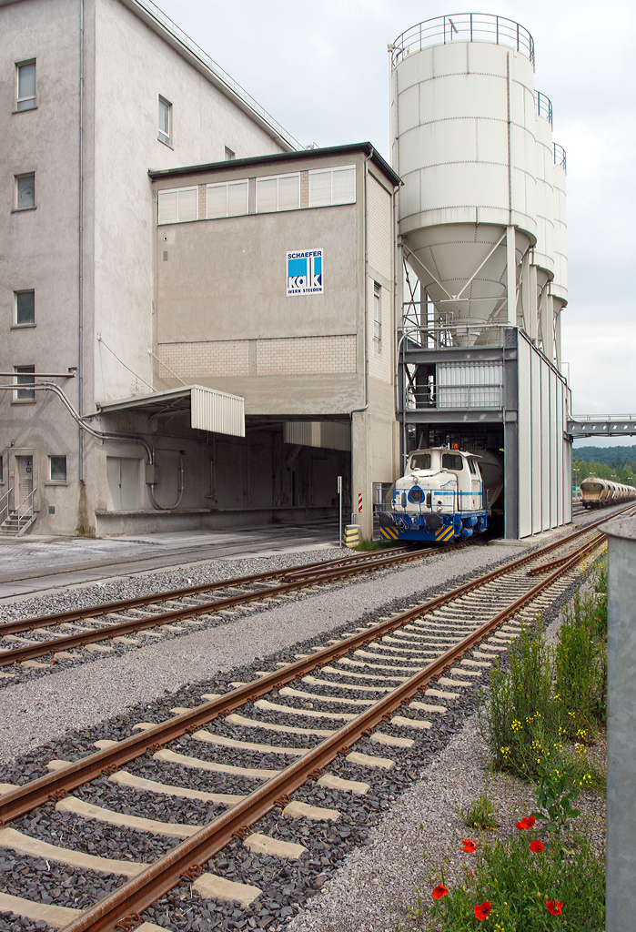 
Die Deutz Dieselhydraulische Rangierlokomotive KG 230 B (Deutz 57716) der Schaefer Kalk GmbH & Co. KG, Werk Steeden, hier am 26.05.2014 in Runkel-Steeden, mit 4-achsiger Behälterwagen für staubförmige Güter mit Druckluftentleerung, der Gattung Uacs, an der Verladeanlage.

Die Lok wurde 1964 bei Deutz unter der Fabriknummer 57716, für Weserport Umschlagsgesellschaft in Bremerhaven als Lok 16, gebaut. Im Jahr 1994 ging sie an DWU - Deponie-Wirtschaft und Umweltschutztechnik GmbH in Espenhain als UWE 16, im Jahr 2000 dann an Thyssen Umformtechnik + Guss GmbH, Werk Bielefeld-Brackwede, bis sie dann 2008 nach hier zu Schaefer Kalk, Werk Steeden, kam.