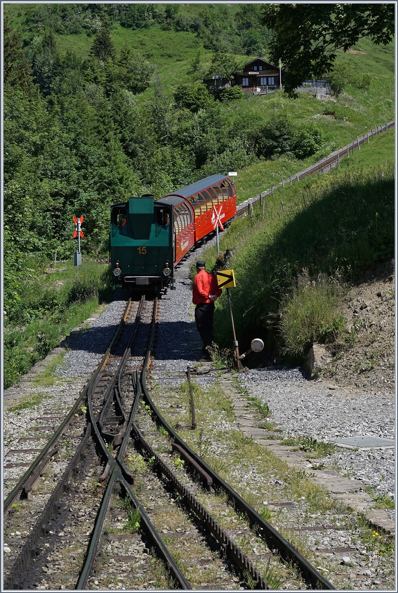 Die H 2/3 15 erreicht Planalp; nach der Ankunft des Zuges kann die Weiche füt den bergwärts fahrenden Gegenzug gestellt werden.
7. Juli 2016