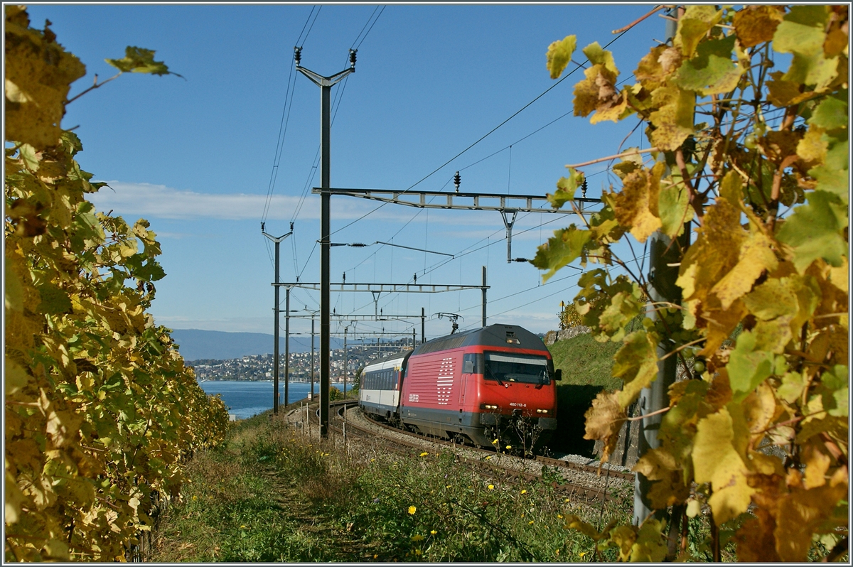 Die Re 460 112-0 mit einem IR in den Weinreben von Cully.
28. Okt. 2013