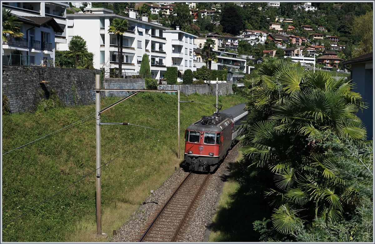Die SBB Re 4/4 II erreicht mit ihrem Gotthard IR in Kürze Locarno.
19. Sept. 2016