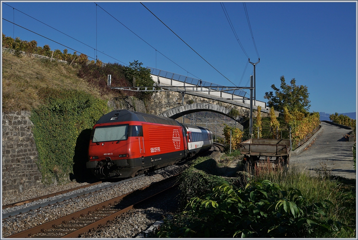 Die SBB Re 460 081-3 schiebt ihren IR Richtung Brig durchs Lavaux.
16. Okt 2017