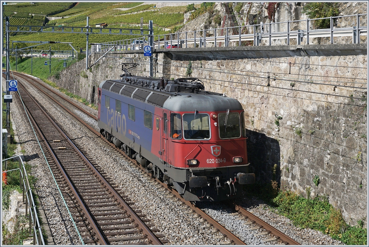 Die SBB Re 620 034-9 als Bild beherrschendes Motiv zwischen Rivaz und St-Saphorin auf dem Weg Richtung Villeneuve. 

30. Sept. 2019