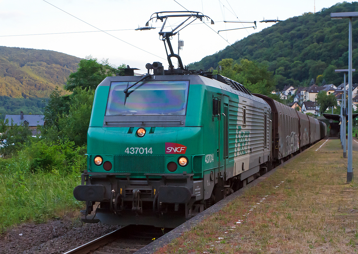 
Die SNCF FRET 437014 f�hrt am 20.06.2014 mit einem G�terzug, auf der Moselstrecke (KBS 690), durch Kattenes in Richtung Koblenz. 


Die Mehrsystemlok Alstom Prima EL3U/4 wurde 2004 unter der Fabriknummer FRET T 014 von Alstom gebaut und an die Fret SNCF geliefert. Sie hat die NVR-Nummer 91 87 0037 014-4 F-SNCF.

