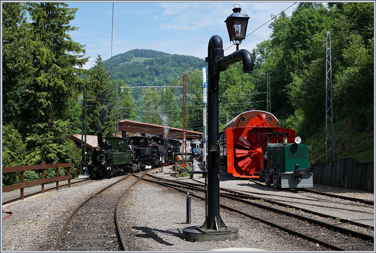 Die Vier kleinen Dampfloks sind in Chaulin eingetroffen. Zu sehen sind: Vorneweg die 1890 gebaute LEB G 3/3 N° 5, dann die JS / BAM G 3/3 909 / 6 von 1901, gefolgt von der BFD HG 3/4 3 von 1913 und am Schluss die G 2x 2/2 105 von 1918 der SEG.
3. Juni 2017