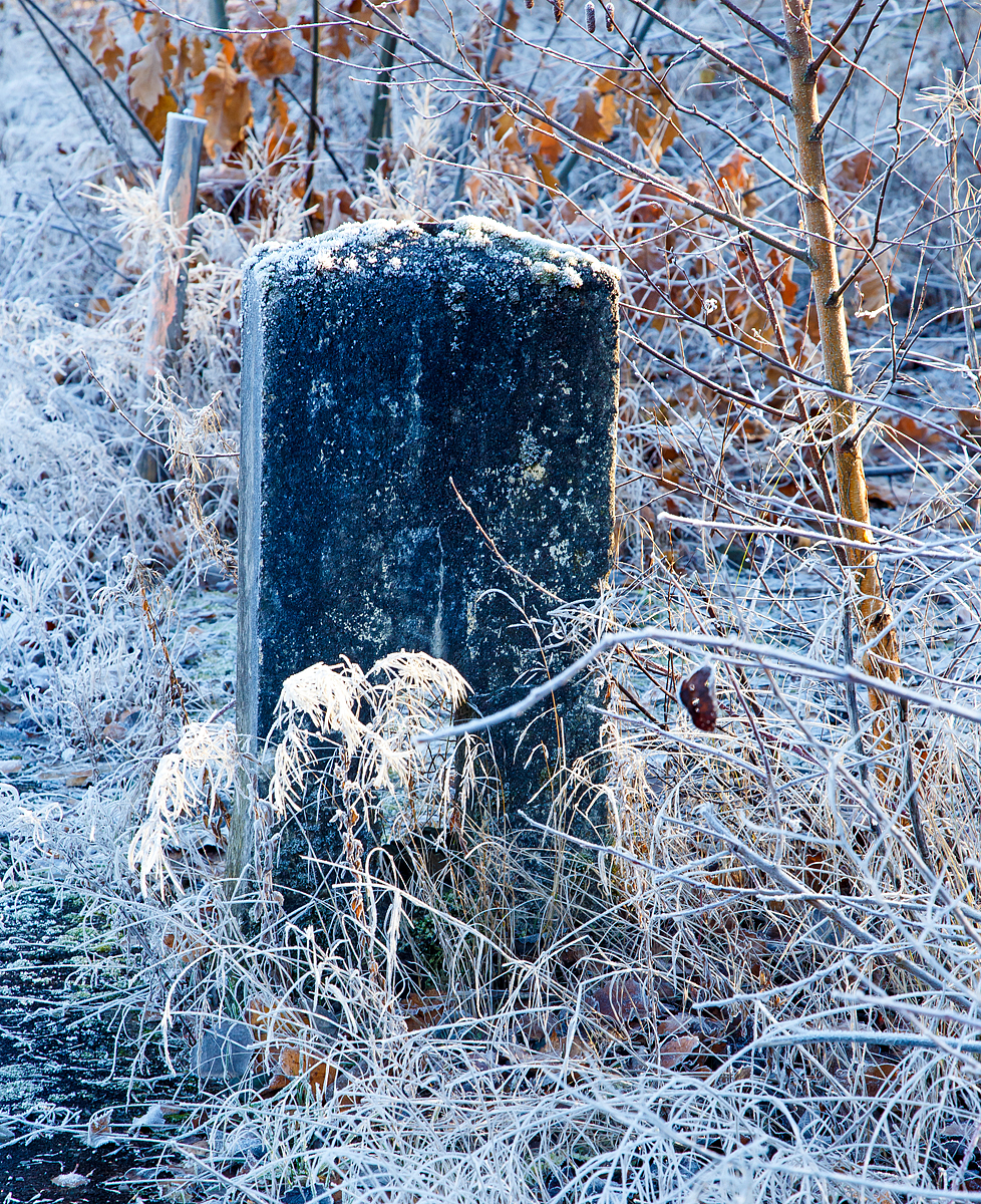 
Ein alter Kilometerstein (ca. 82,5, kann man nicht mehr lesen) der Siegstrecke (Bahnstrecke Köln-Deutz – Betzdorf, KBS 460, DB - Streckennummer 2651), am 04.12.2015 in Betzdorf/Sieg. 