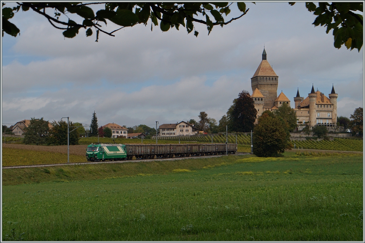 Ein BAM Zuckerrübenzug beim Château de Vufflens.. 
15. Okt. 2014
