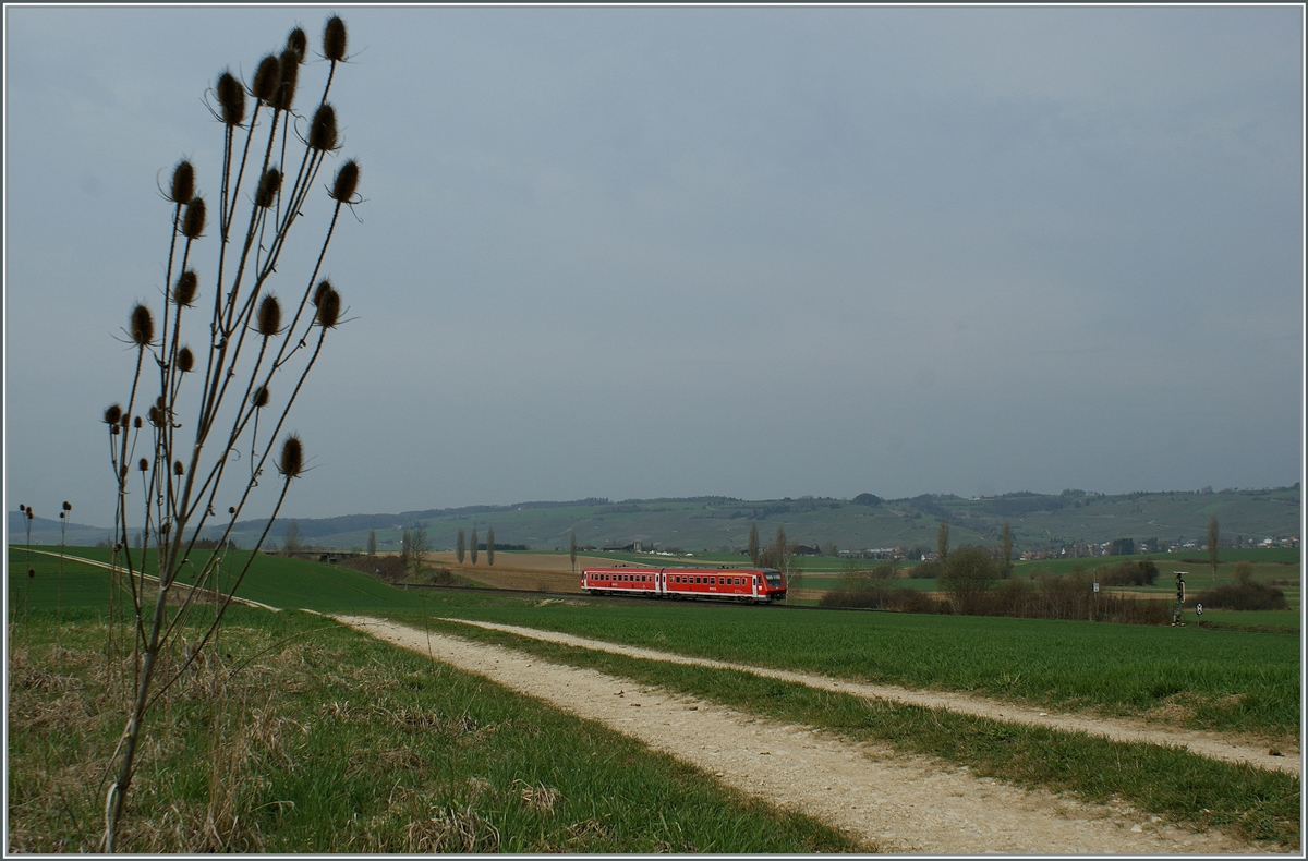 Ein DB 611 auf der Fahrt durchs Klettgau bei Hallau. 

8. April 2010