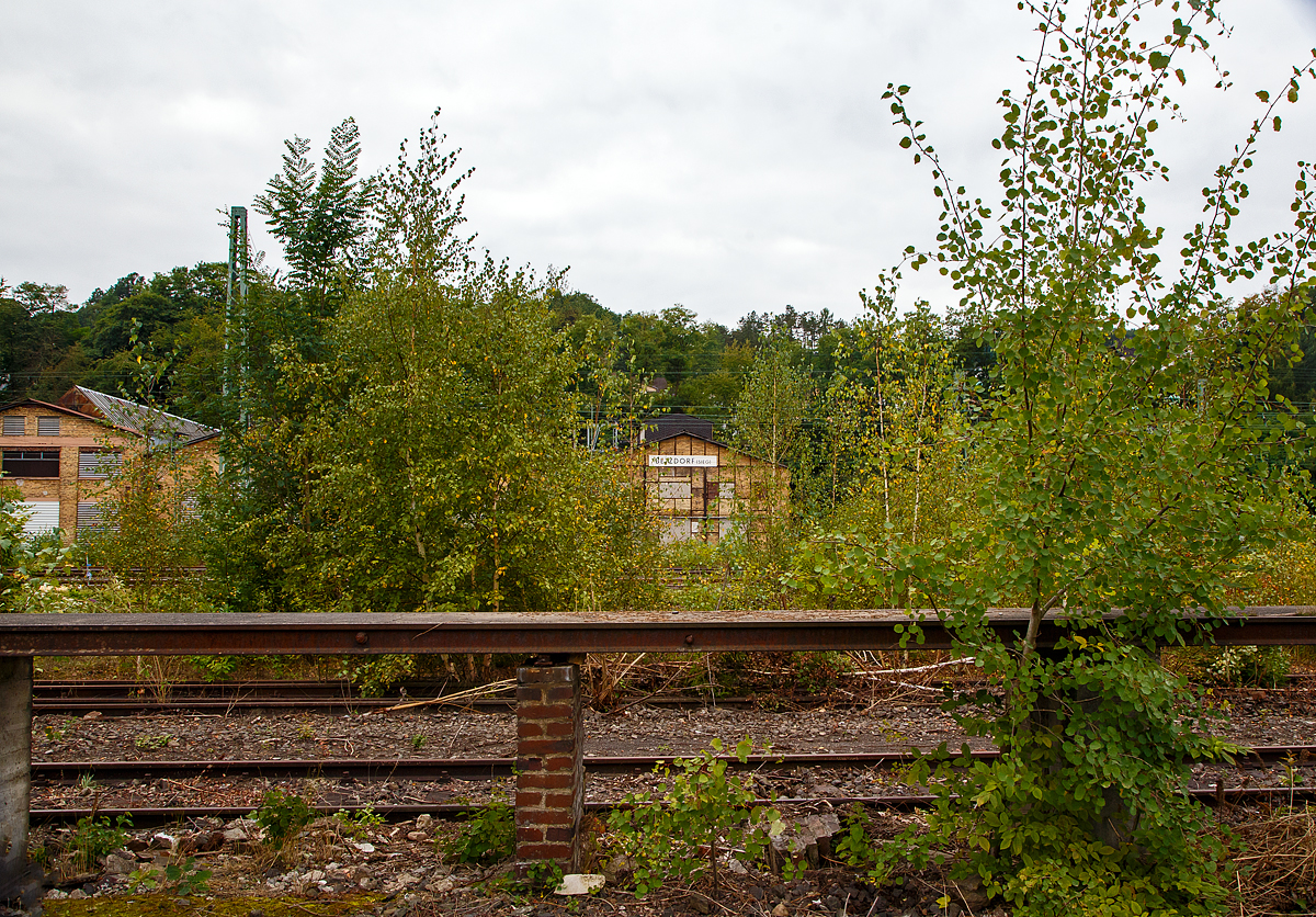 Ein etwas anderes Bahnbild....
Ein Stück der alten Laderampe beim ehem. Güterbahnhof Betzdorf/Sieg (hier am 20.09.2021). 