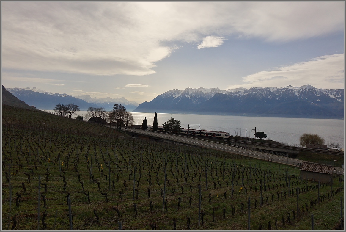 Ein Flirt am  Kleinen See .
(22.02.2016)