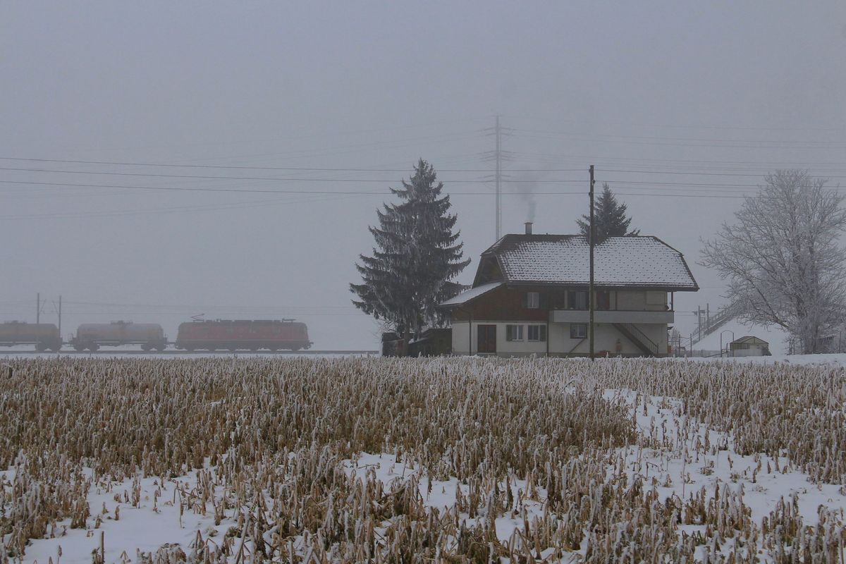 Ein kalter Tag an der Bahnlinie Bern-Thun: Re6/6 11629.  23.1.17
