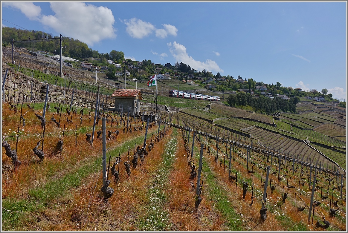 Ein Regioexpress auf seiner Fahrt von Romont nach Genf im Lavaux.
(23.04.2014)