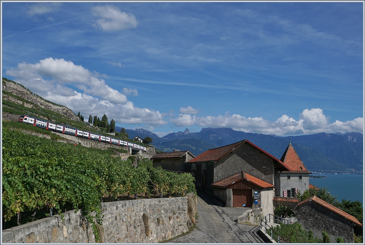 Ein SBB RABe 511 im Sommerfahrplanverkehr (Genève- Fribourg via Vevey) auf der Train des Vignes Linie oberhalb von St-Saphorin.

26. Aug. 2018