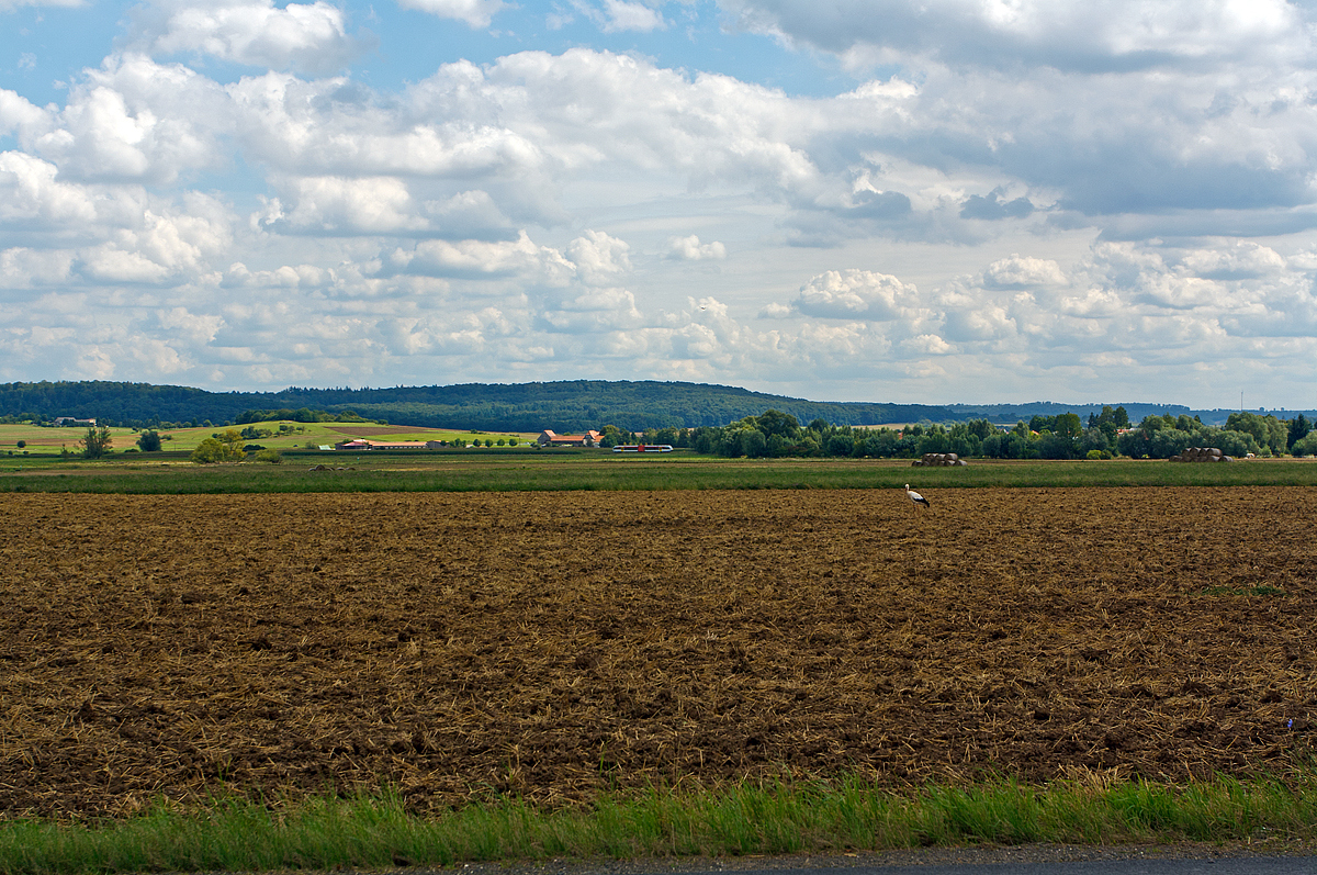 
Ein Zug-Suchbild aus der Wetterau: 
Der Stadler GTW 2/6 - VT 124 der HLB (Hessische Landesbahn) f�hrt am 20.08.2014 als RB 32 (Umlauf HLB 24637) die Verbindung Nidda - Beienheim - Friedberg, auf der Horlofftalbahn (KBS 632), hier kurz vor dem Hp Weckesheim (zur Stadt Reichelsheim).