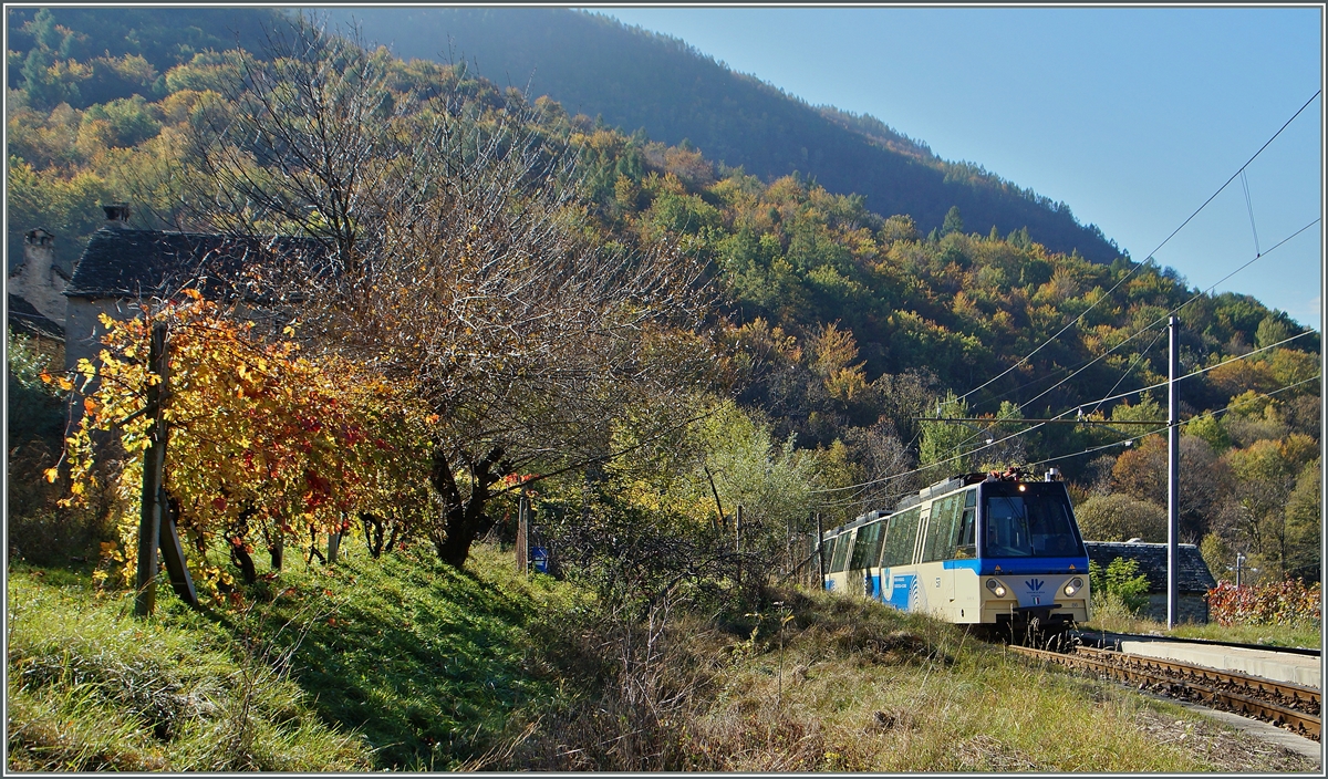 Eine Stunde sp�ter tauchte der ABe 12/16 (ABe/P/Be/Be) 86  Villette  im herbstlichen Verigo als D 53 P unerwegs Richtung Locarno auf.
31. Okt. 2014 