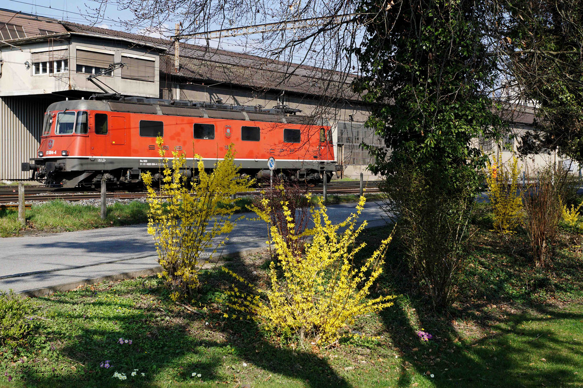 ERSTES FRÜHLINGSERWACHEN MIT BLÜHENDEM FORSYTHIE-STRAUCH UND DER Re 620 084-4  UZNACH .
Am 19. März 2020 konnte die Re 620 084-4 in Gerlafingen beobachtet und fotografiert werden. Besondere Beachtung gilt dem weissen f. Hier handelt es sich um eine der wenigen Re 620 Lokomotiven mit Funkverbindung.
Wegen dem Frühlingsanfang wählte ich zur Abwechslung ein Bahnmotiv der anderen Art. Diese tollen Blüten erlebt man schliesslich als Bahnfotograf nicht während dem ganzen Jahr.
Foto: Walter Ruetsch