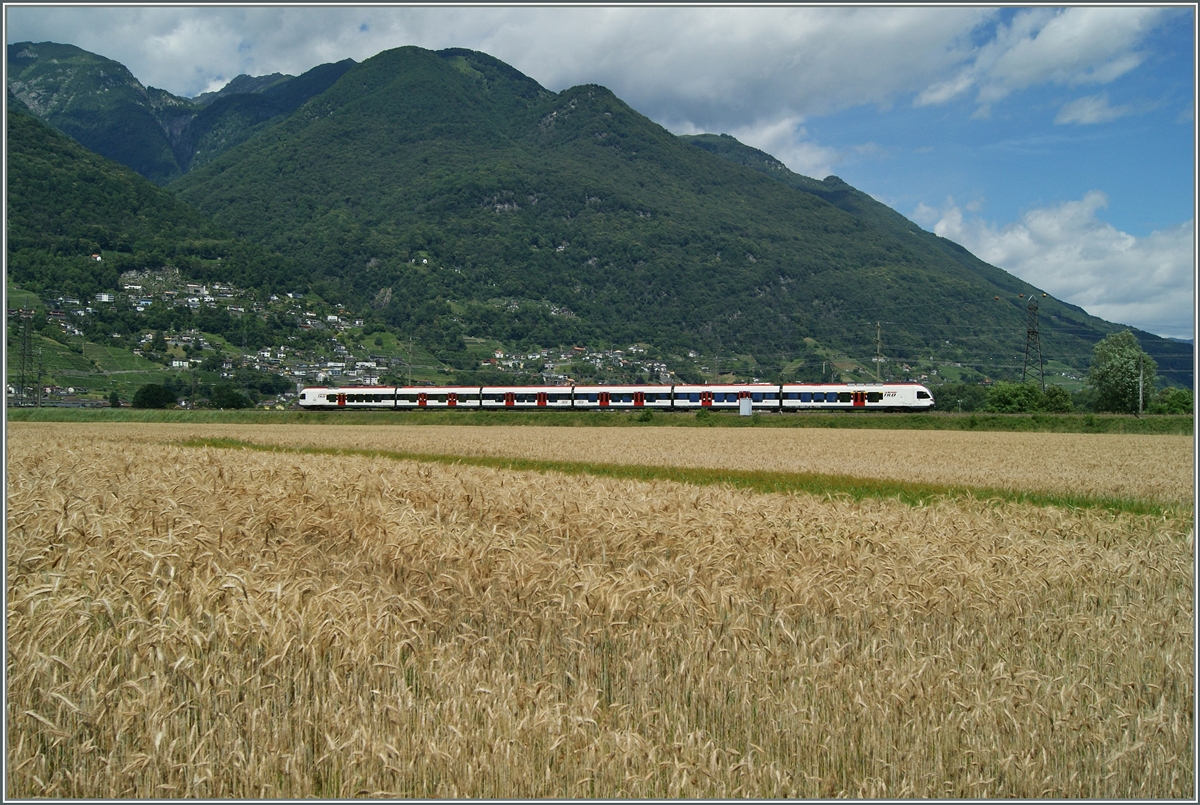 Gebirgig ist das Tessin, mit Ausnahme der Maggadio Ebene, welche hier ein TILO Firt bei Riazzino durchquert.
21. Juni 2015