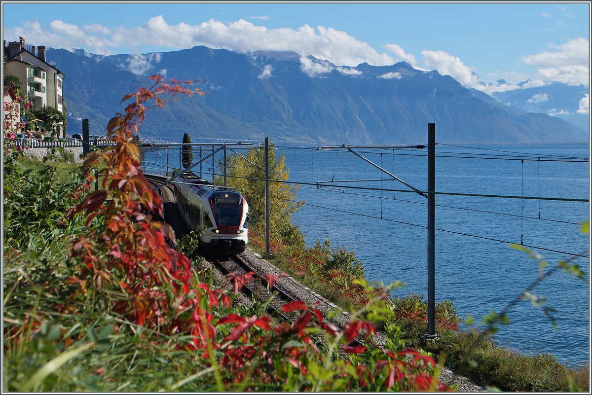 Herbst am  Kleine See ...
St-Saphorin, den 17. Okt. 2014