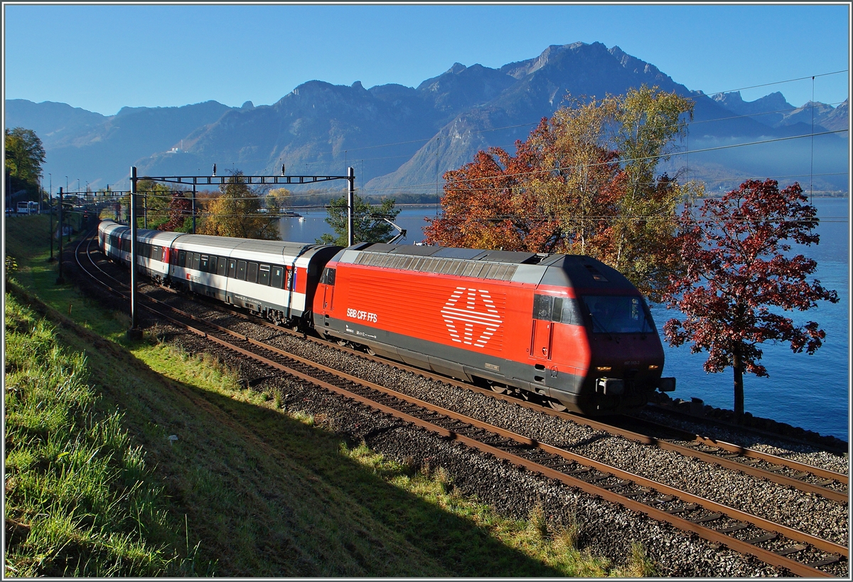 Herbst am  Kleinen See : Die SBB Re 460 043-3 mit einem IR von Brig nach Genève Aéroport kurz nach Villeneuve.
1. Nov. 2014