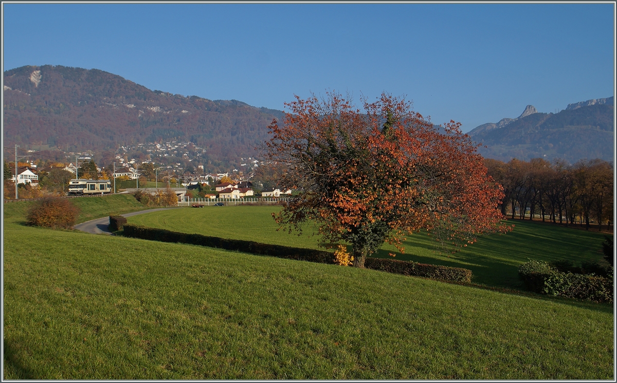 Herbst: Ein CEV GTW  /6 unterwegs beim Château d'Hauteville Richtung Vevey.
2. Nov. 2015