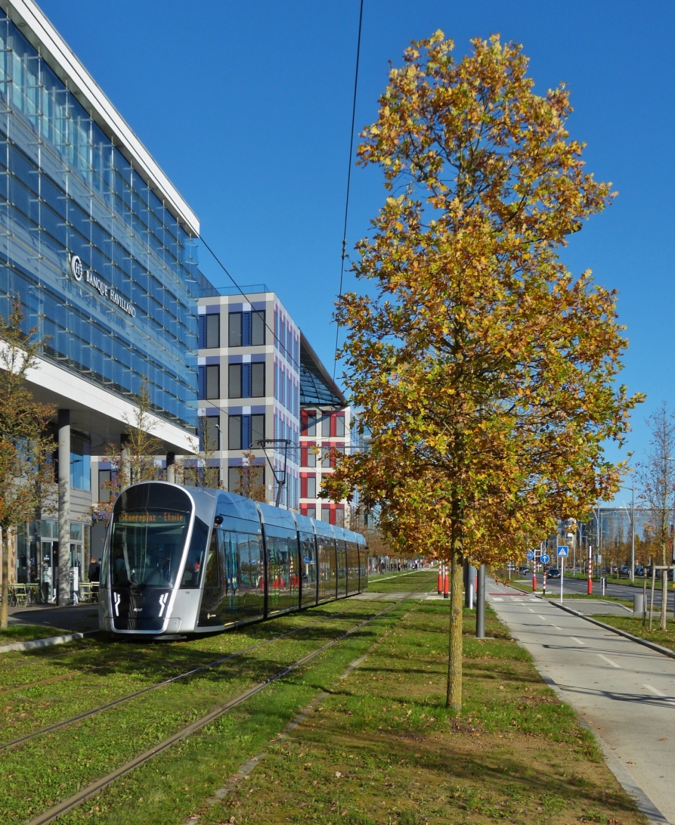 Herbstfarben in der Stadt Luxemburg, Stra�enbahn f�hrt an herbstlich gef�rbten B�umen auf dem Kirchberg in der Stadt Luxemburg an mir vorbei. 18.11.2020 (Hans)