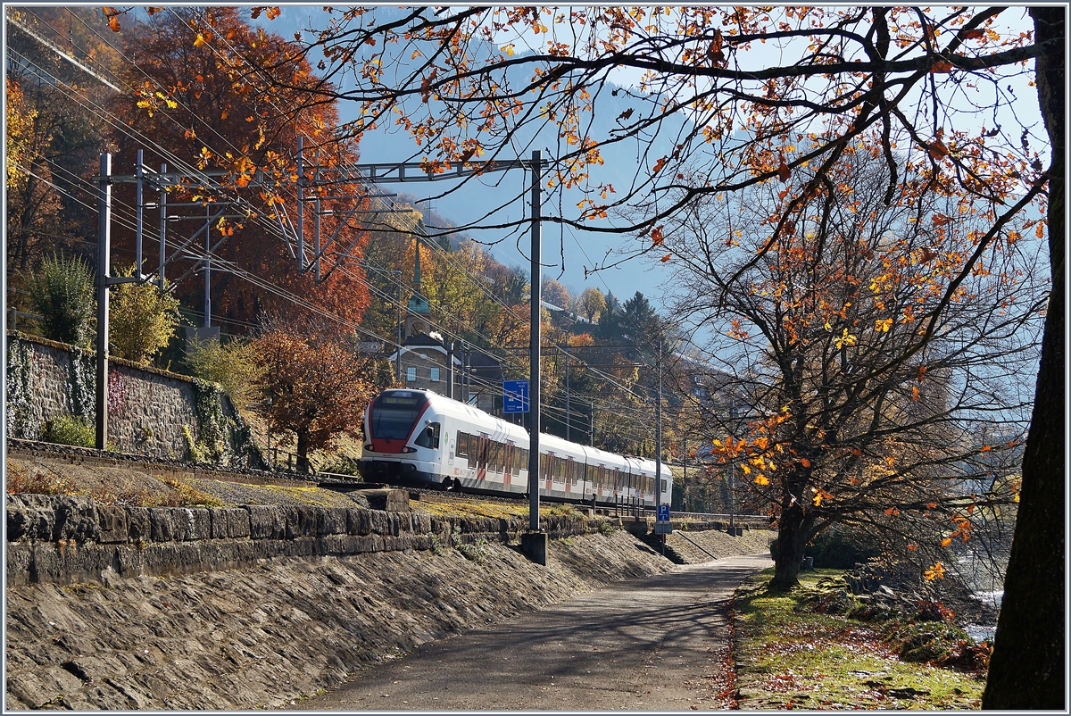 Herbst...
und mitten drin ein Flirt.
Bei Villeneve, den 20. Nov. 2017 