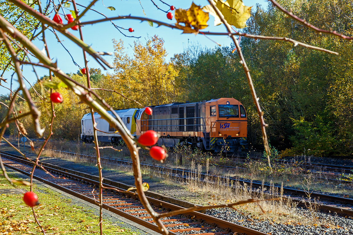 Herbstzeit im Hellertal.....und Hagebutten im Vordergrund....
Noch haben sie am 28.10.2021 im Bahnhof Herdorf auf Gleis 4 Hp 0 und müssen den Gegenzug RB 96 – Hellertalbahn abwarten, die Mietlok die Voith Maxima 30 CC – VTLT 263 005-5 (92 80 1263 005-1 D-VTLT) der Voith Turbo Lokomotivtechnik GmbH & Co. KG am Haken der KSW 43 (92 80 1273 018-2 D-KSW) der KSW (Kreisbahn Siegen-Wittgenstein) bevor es von Herdorf in Richtung Betzdorf (Sieg) weiter geht.