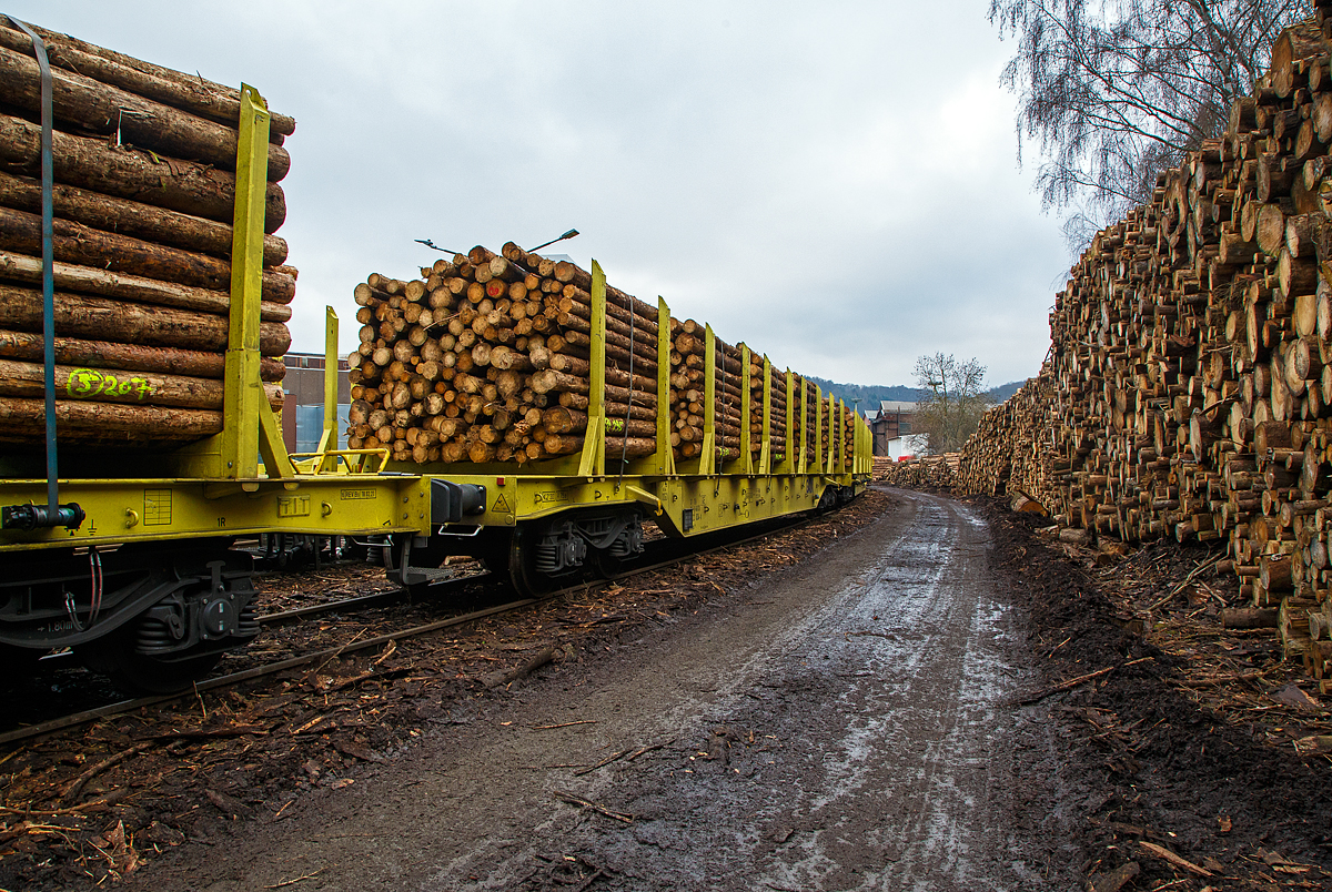 Holztransport im Siegerland: Gewaltige Forstschäden an dem kompletten Fichtenbestand durch den Borkenkäfer sind in der Region zu beobachten. Mit der Abholzung kommt man nicht hinterher. Hier in Siegen-Eintracht auf dem Betriebsgelände der KSW (Eisern-Siegener Eisenbahn NE 437) findet die Holzverladung der Region, von den LKW´s auf die Schiene, statt. 

Drehgestell-Flachwagen mit vier Radsätzen und Niederbindeeinrichtung, 37 80 4723 834-0 D-GATXD, der Gattung Snps 199 (GATX Typ 9430), der GATX Rail Germany GmbH, beladen mit Fichten-Rundholz abgestellt am 19.12.2021 in Siegen-Eintracht auf der Gleisanlage der Kreisbahn Siegen-Wittgenstein (KSW). 

Der Wagen, ist sehr neu, er wurde 2021 vom bulgarischen Hersteller Transwagon-AD (ТРАНСВАГОН АД) in Burgas (Bulgarien) unter der Fabriknummer 50493 gebaut. 

TECHNISCHE DATEN:
Gattung: Snps 199  (GATX Typ 9430)
Spurweite: 1.435 mm (Normalspur)
Anzahl der Achsen 4 (in 2 Drehgestellen)
Länge über Puffer: 22.860 mm
Drehzapfenabstand: 16.560 mm
Radsatzstand in den Drehgestellen: 1.800 mm
Laufraddurchmesser: 920 mm (neu)
Ladelänge: 21.620 mm
Ladefläche: 57,0 m²
Eigengewicht: 23.340 kg
Zuladung bei Lastgrenze S: 66,6 t (ab Streckenklasse D)
Max. Geschwindigkeit: 100 km/h (beladen) / 120 km/h (leer)
Kleinster Gleisbogenhalbmesser: 75 m
Bauart der Bremse: KE-GP-A  (K)
Bremssohle: C 810
Intern. Verwendungsfähigkeit: TEN-GE