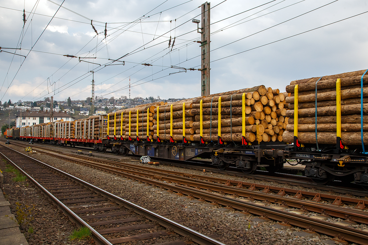 Holztransport im Siegerland:
Gewaltige Forstschäden an dem kompletten Fichtenbestand durch den Borkenkäfer sind in der Region zu beobachten. Mit der Abholzung kommt man nicht hinterher. Zuvor konnte ich die Zusammenstellung des Zuges in Siegen-Eintracht auf dem Betriebsgelände der KSW (Eisern-Siegener Eisenbahn NE 437) beobachten. 

Nun (am 21.04.2021) fahren zwei Loks der Kreisbahn Siegen-Wittgenstein, die KSW 44 und 45, im Nachschiebetrieb mit dem sehr langen Holzzug durch Siegen und biegen gleich in Richtung Dillenburg ab. Vorne als Zuglok die KSW 45 (98 80 0276 016-9 D-KSW), eine MaK G 1204 BB und hinten die nachschiebende KSW 44 (92 80 1271 004-4 D-KSW), eine MaK G 1000 BB.

Dieses Bild ist ein Nachschuss und soll einen kleinen Eindruck von dem Holzzug zeigen