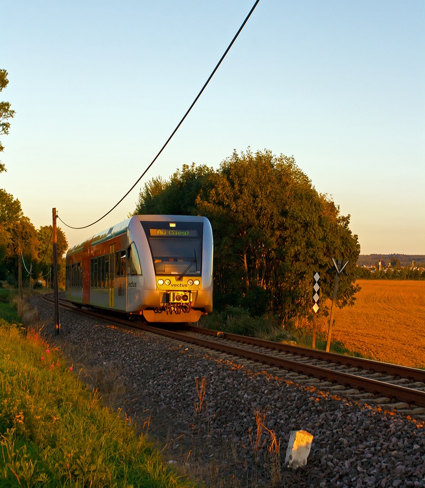 im letzten Licht an der Oberwesterwaldbahn (KBS461)...

Der VT 123 der vectus Verkehrsgesellschaft mbH, ein Stadler GTW 2/6, f�hrt am 05.09.2013 (19:46 Uhr) der untergehenden Sonne entgegen, hier hinter Hachenburg in Richtung Altenkirchen.
Er f�hrt als RB 28 (Oberwesterwald-Bahn) die Verbindung Limburg(Lahn) - Westerburg - Hachenburg - Altenkirchen - Au (Sieg).
Eine freundlichen Gru� dem Tf retour.