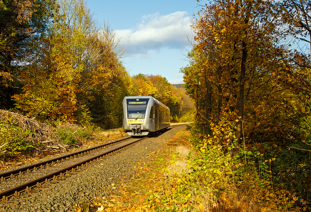 
Indian Summer: Der HLB 123 bzw. VT 526 123 (95 80 0946 423-0 G-HEB / 95 80 0646 423-3 D-HEB / 95 80 0946 923-9 D-HEB) ein Stadler GTW 2/6 der HLB (Hessische Landesbahn GmbH), ex vetus VT 123, fährt am 29.10.2016 als RB 96  Hellertalbahn  die Verbindung (Neunkirchen - Herdorf - Betzdorf), von Herdorf in Richtung Betzdorf, hier erreicht er nun bald Herdorf-Sassenroth. 

Der GTW 2/6 wurde 2000 bei DWA unter der Fabriknummer 526/005 gebaut.