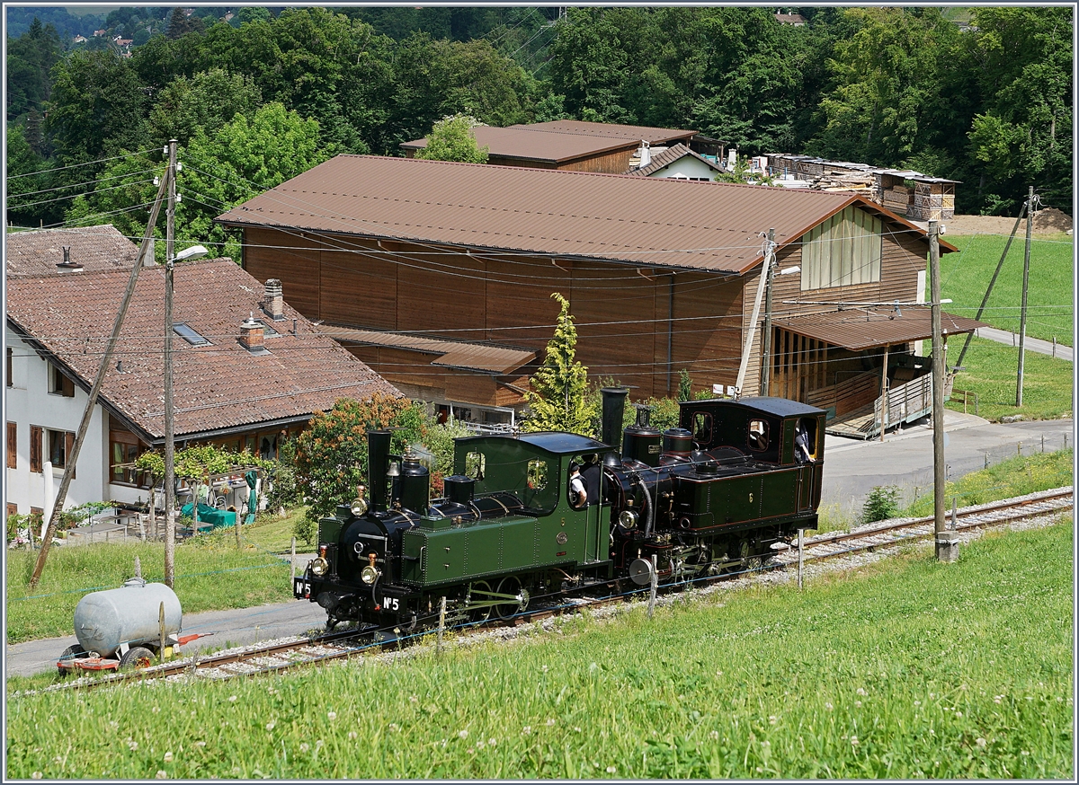 Kurz darauf folgen noch die beiden G 3/3.
Bei Cornaux, den 3. Juni 2017