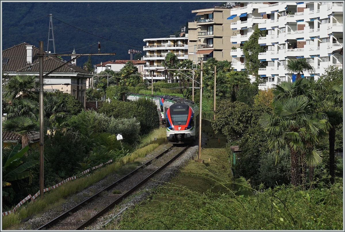 Kurz vor der Ankunft in Locarno zeigen sich zwei SBB TILO RABe 524 Triebzüge auf der von Palmen gesäumten Strecke bei Muralto. 

20. Sept. 2021