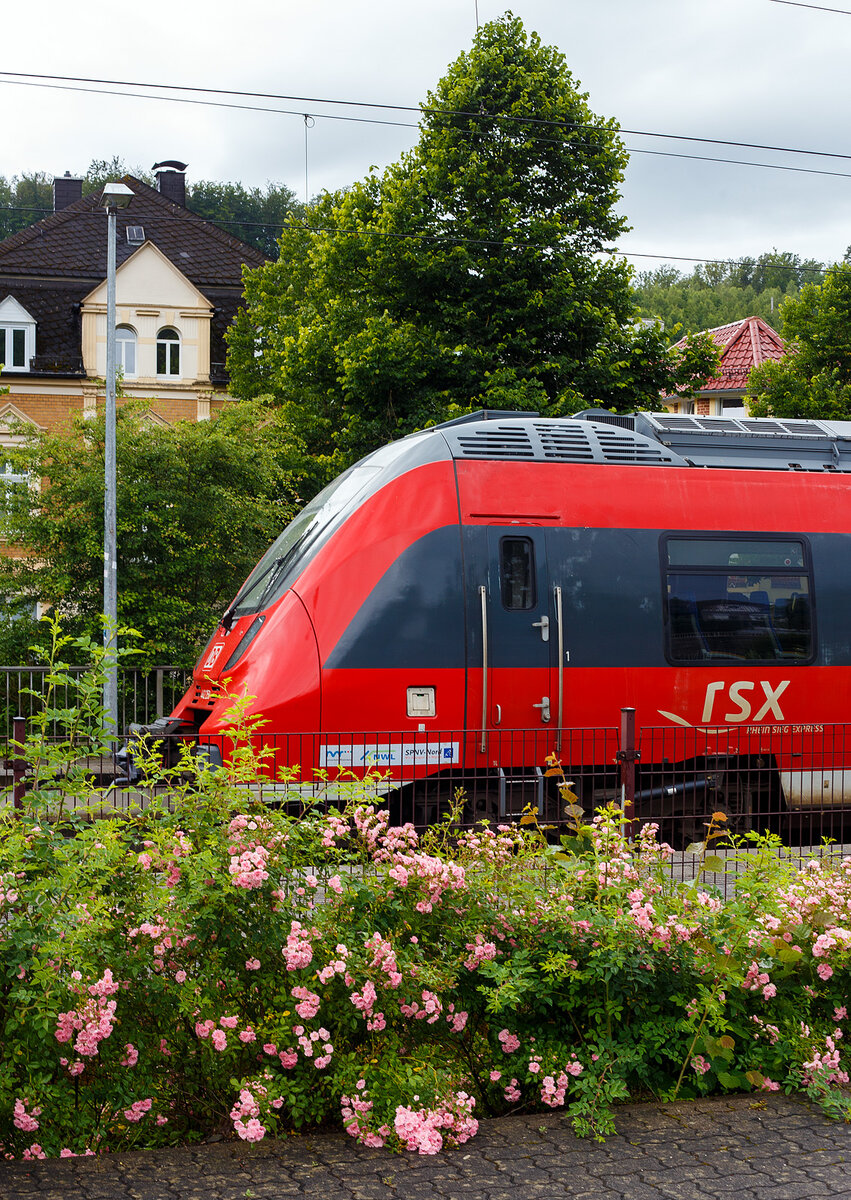 Mal ein etwas anderes Bahnbild mit Buschrosen vor dem Motiv.
Wieder auf Dienst-/Leerfahrt von Siegen nach Aachen, die beiden gekuppelten vierteiligen Talent 2 der DB Regio NRW 442 258 / 442 758 und 442 761 / 442 261 durchfahren am 21 Juni 2024 den Bahnhof Kirchen/Sieg.
