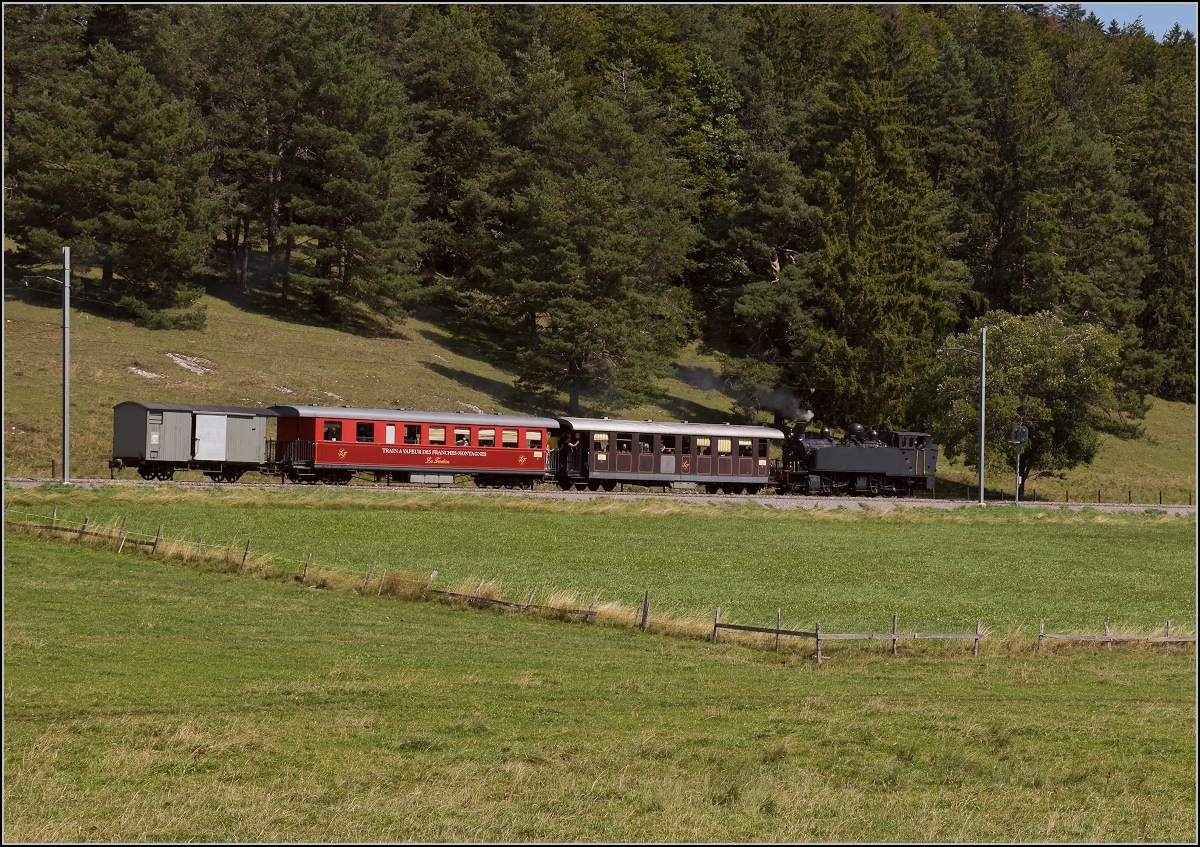 Mit der E 206 nach Tavannes. La Traction Sonderzug bei Orange. Währenddessen trabte die Rinderherde von Orange offenbar flüchtend bei mir vorbei. Letztes Jahr waren die Rindviecher noch als Dampfbahnfans aufgefallen. August 2019.