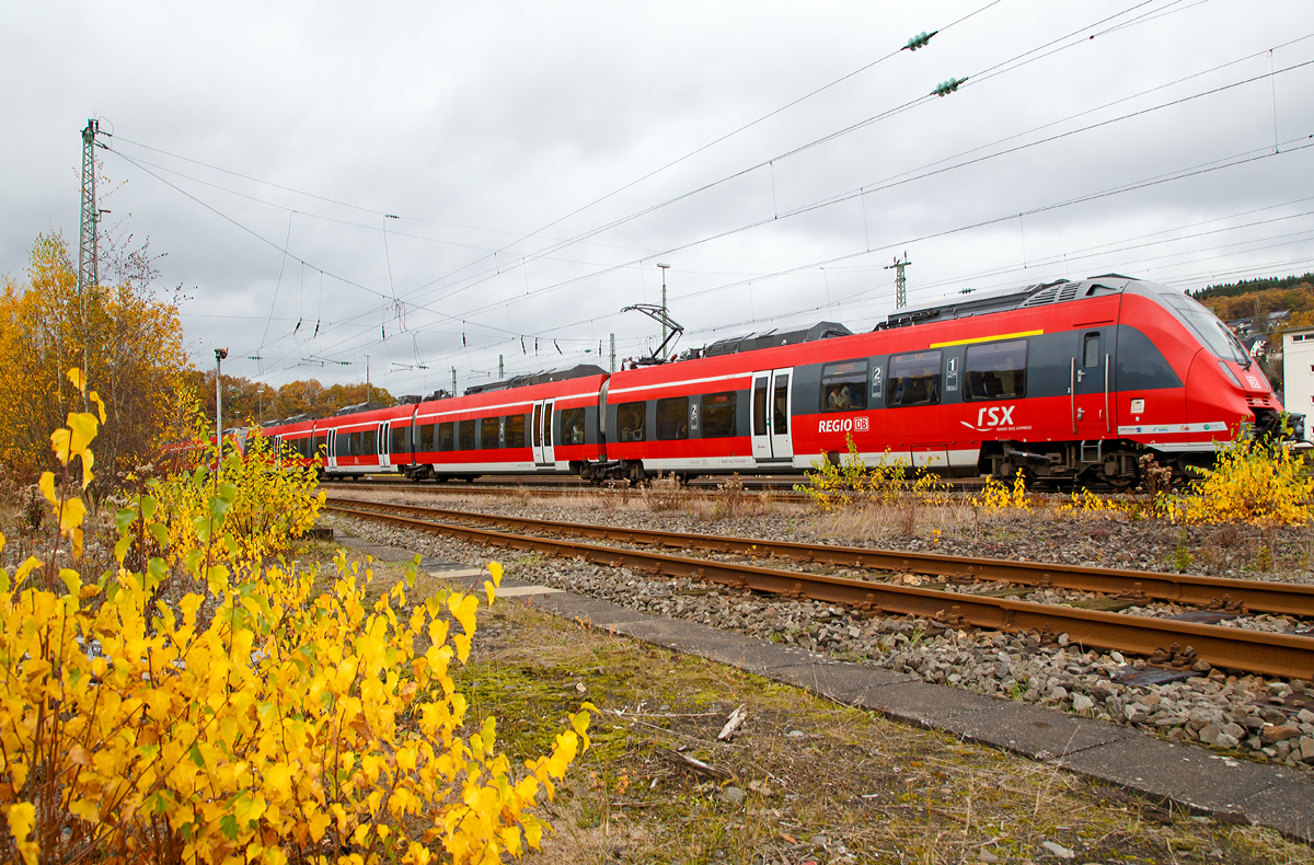 
Motiv herbstlich verdeckt - Zwei gekuppelte 4-teilige Bombardier Talent 2 (BR 442 / 443) der DB Regio NRW erreichen bald (am 07.11.2015), als RE 9 (rsx - Rhein-Sieg-Express) Siegen - Köln - Aachen, den Bahnhof Betzdorf/Sieg.